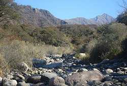 Villa el Rodeo, las Juntas y la Puerta - Half Day
