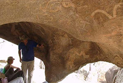 La Tunita - Full Day