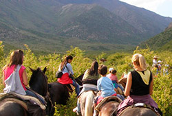 Excursión Full Day con asado El Salto - Potrerillos