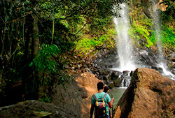 Safari a la casacada