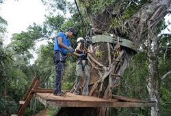 Iguazú forest – Full Day