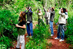 Trekking sendero de las Bananeiras