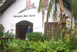 Parque de las aves – Half Day