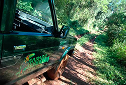 Safari camino de los pioneros