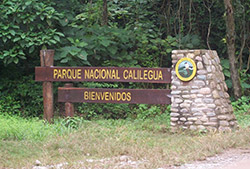 Parque Nacional Calilegua – Full Day