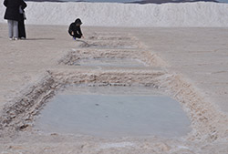 Salinas Grandes (desde Jujuy) - Full Day