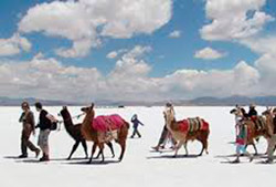 Trekking Salinas Grandes con traslados