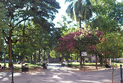 City Tour de Salta – Half Day