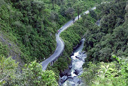 Bike rent en San Javier – Half Day