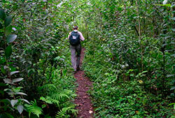 Mountain bike Horco Molle – Half Day