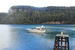 Bosque de arrayanes e Isla Victoria - Full Day