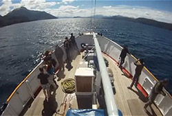 Puerto Blest y Cascada los cantaros - Full Day