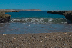 Doradillo – Half Day