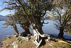 Villa Quila Quina - Half Day