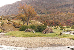 Parque Nacional Tierra del Fuego – Half Day