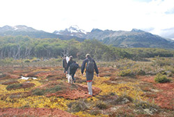 Parque Nacional Tierra del Fuego con Trekking y Kayacks - Full Day