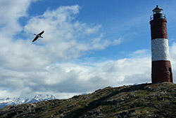 Navegación por el Canal de Beagle – Half Day