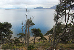 Navegación por el Canal de Beagle hasta estancia Harberton – Full Day