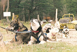 Aventura Blanca – Full Day