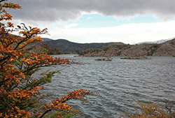 Puerto Natales – El Calafate
