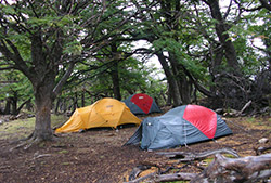 Desde el Campamento en Laguna Capri hasta Laguna de Los Tres