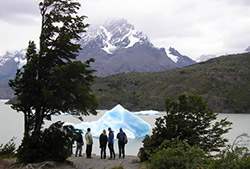 Miradores del Glaciar Grey