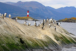 Ushuaia - Navegación del Canal de Beagle 
