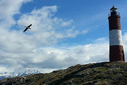 Parque Nacional Tierra Del Fuego – Tren Del Fin Del Mundo – Half Day