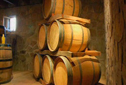 Bodega Concha y Toro – Half Day