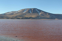 Lagunas Altiplanicas
