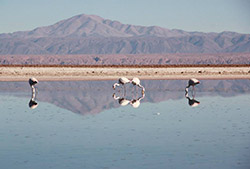 San Pedro de Atacama