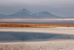 Salar de atacama & lagunas altiplanicas – Full Day