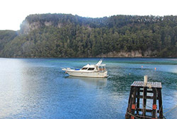 Bosque de Arrayanes e isla Victoria – Full Day