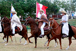 Show de caballo de paso peruano