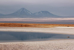 Salar de atacama & toconao – Half Day