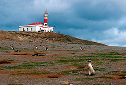 Isla magdalena – Half Day