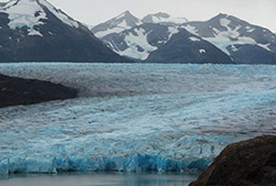 Navegación al glaciar grey – Half Day