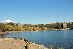 Conociendo el frutillar – Half Day