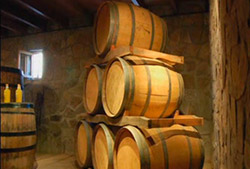 Bodega concha y toro – Half Day